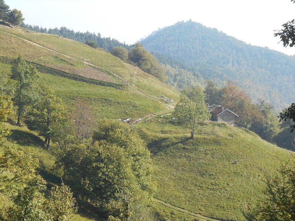 Agriturismo Fiorendo Pinerolo Exterior photo
